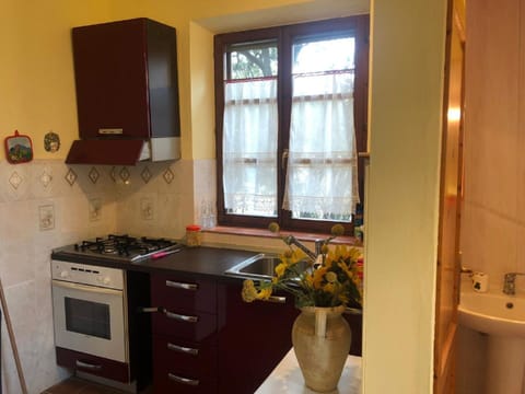 Classic House, 1 Bedroom | Private kitchen | Fridge, oven, coffee/tea maker, electric kettle
