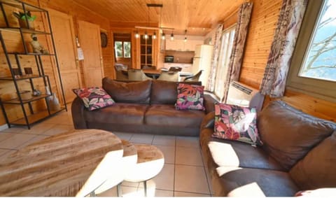 Fireplace, DVD player