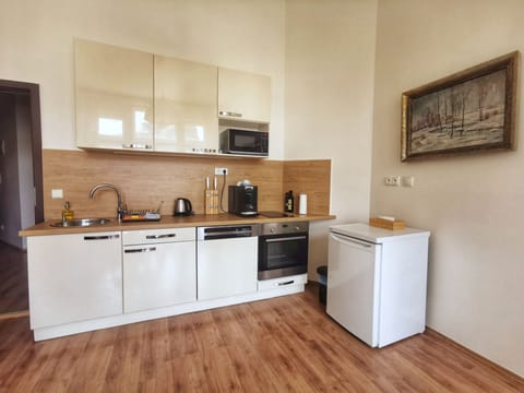 Classic Apartment, 1 Bedroom, City View | Private kitchen | Fridge, microwave, stovetop, highchair