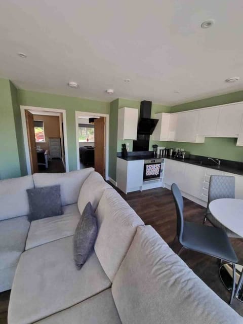 Lounge/Dining/Kitchen view