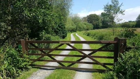 Entrance track and gateway at Cwt Mochyn cottage
