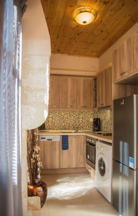 Superior Apartment, Terrace, Garden View | Private kitchen | Full-size fridge, oven, stovetop, dishwasher