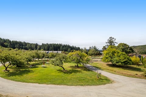 Room, 1 Bedroom, Fireplace, Marina View (Deer Harbor Inn #1) | Property grounds