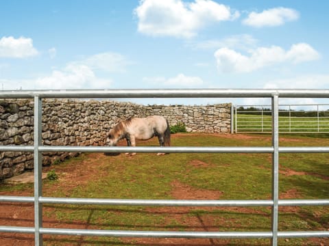 Surrounding area | The Lodge Pod, Barrow-in-Furness