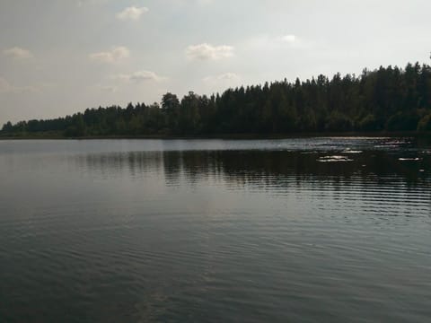 Water view