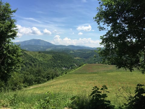 Elite House, 3 Bedrooms | View from property