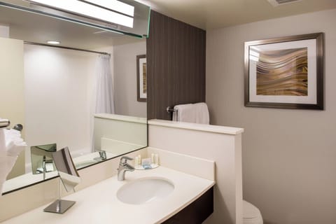 Room, 1 King Bed | Bathroom | Hair dryer, towels