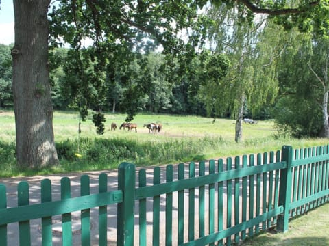 View from Holiday Home [summer]