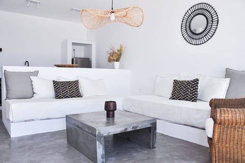 Lower level living room