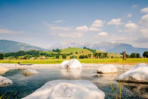 Region [summer] (&gt;5 km)