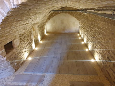 Cellar under the house (1)