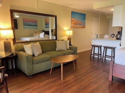 Queen fold out sofa.