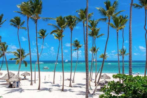 Private beach, white sand, sun loungers, beach umbrellas