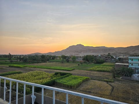 Outdoor wedding area