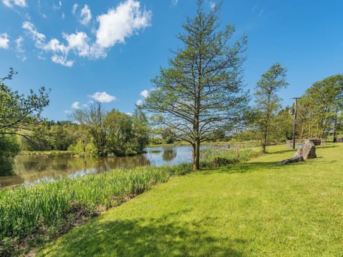 Surrounding area | Kingfisher - Maesydderwen Holiday Cottages, Llandeilo