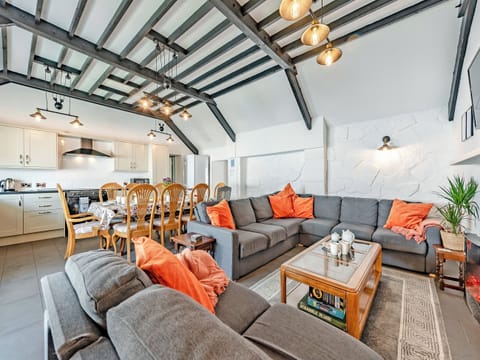 Open plan living space | Kingfisher - Maesydderwen Holiday Cottages, Llandeilo