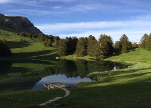 Chalet | View from property