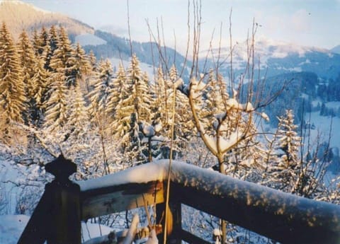 Apartment | View from property