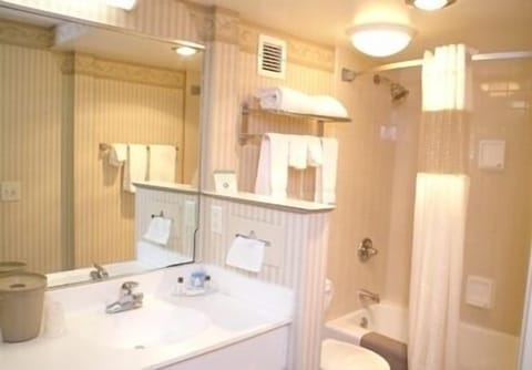 Combined shower/tub, free toiletries, hair dryer, towels