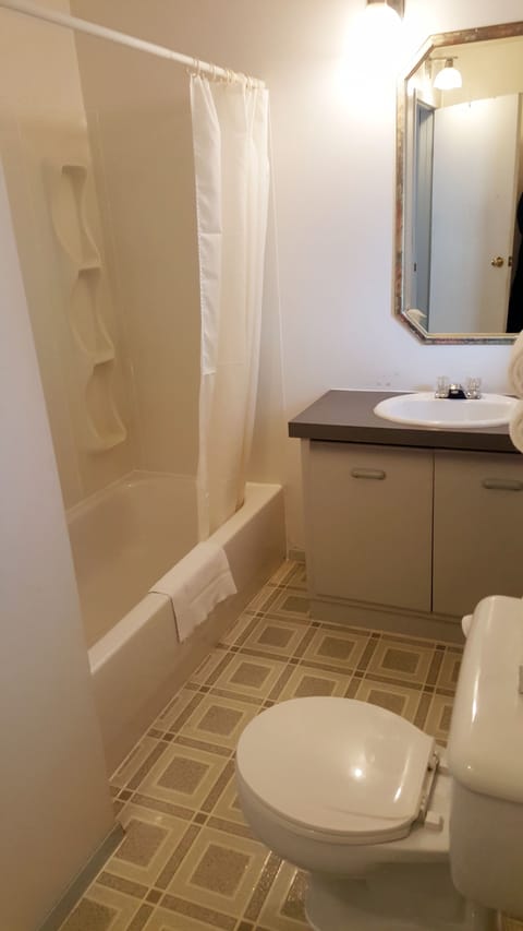 Combined shower/tub, free toiletries, hair dryer, towels