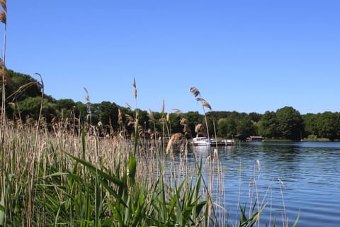 House | Water view