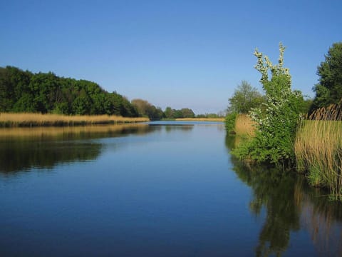 House | View from property