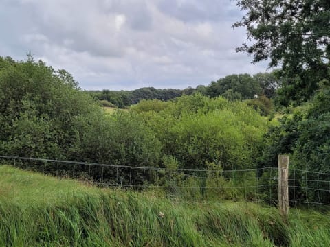 House | Miscellaneous