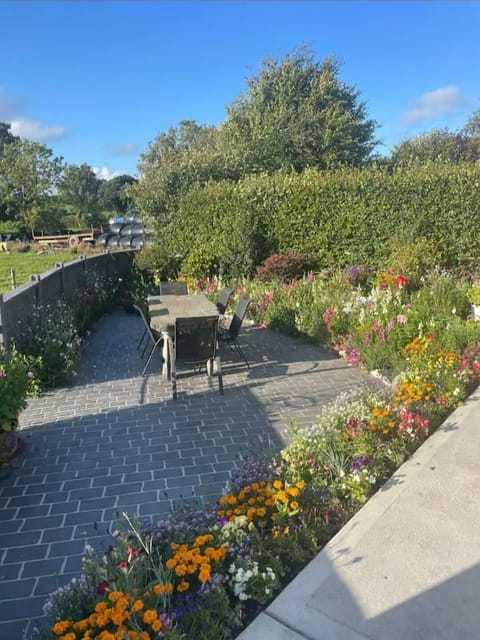 House | Outdoor dining