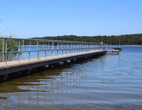 House | View from property