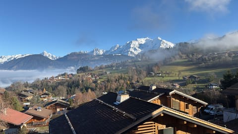 Mont Blanc view