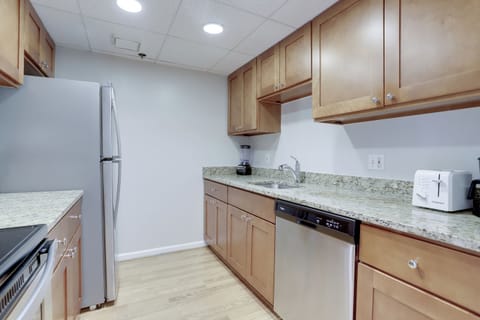 Apartment, City View | Private kitchen | Coffee/tea maker, toaster, blender, paper towels