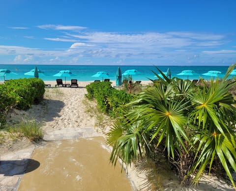 On the beach, white sand, sun loungers, beach umbrellas