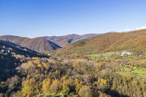 Autumn, Scenic View, Spring, Summer