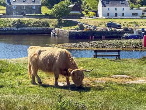 Surrounding area | No.4 The Links Apartments, Brora