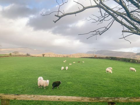 Winter garden view | Roses Cottage, Santon, near Holmrook