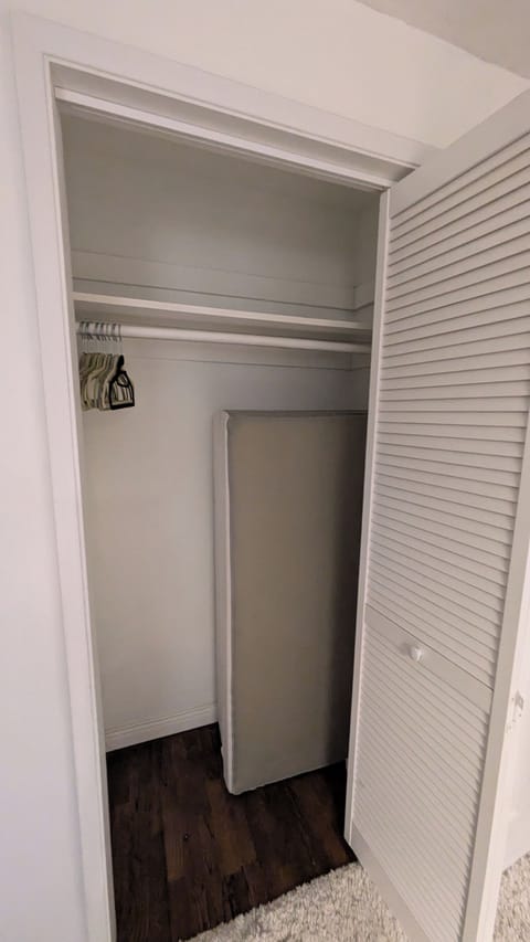 Queen fold up bed in closet.