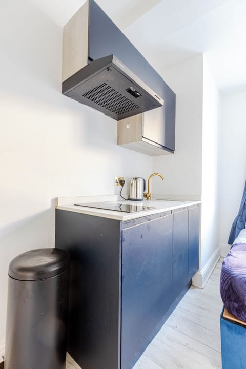 Classic Studio | Private kitchen | Mini-fridge, microwave, oven, stovetop