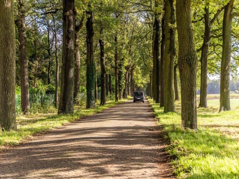 Classic Apartment, 3 Bedrooms | Living room | Fireplace
