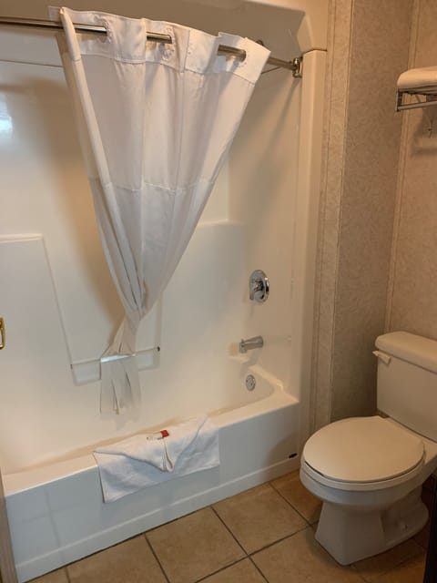 Combined shower/tub, free toiletries, hair dryer, towels