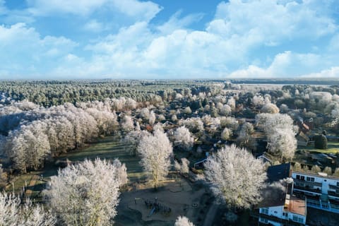 Immediate Surroundings [summer] (&lt;1 km)