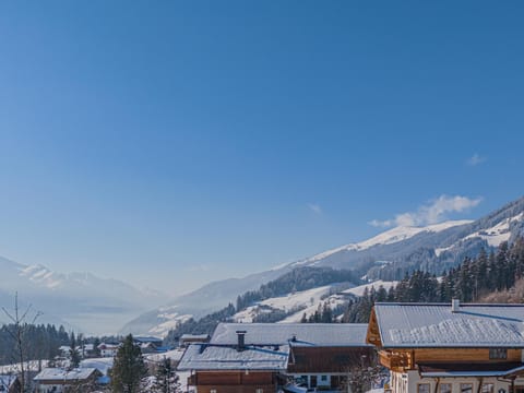 Immediate Surroundings [winter] (&lt;1 km)