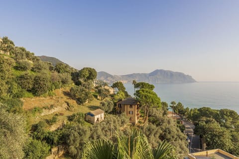 Autumn, Scenic View, Spring, Summer