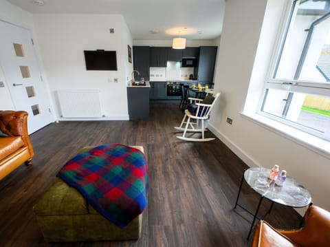 Plant, Sky, Wheel, Property, Bicycle, Plant Community, Bicycle Wheel, Building, Door