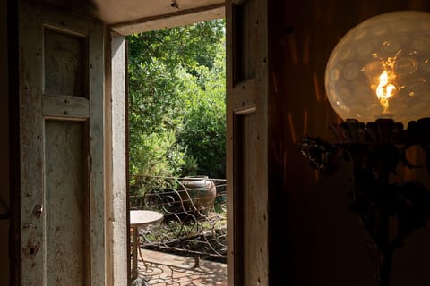 Plant, Property, Wood, Lighting, Shade, Interior Design, Building, Sunlight, Vegetation