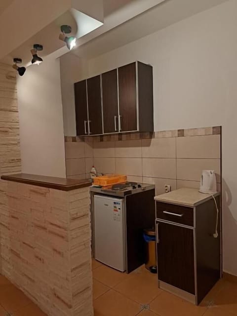 Basic Apartment | Private kitchen | Fridge, cookware/dishes/utensils