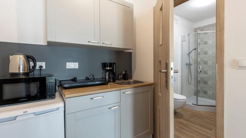 Apartment (8) | Private kitchen | Fridge, microwave, stovetop, electric kettle