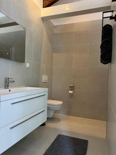 Deluxe Double Room | Bathroom | Shower, hair dryer, towels, soap