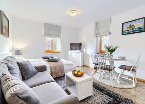 Studio | Iron/ironing board, free WiFi