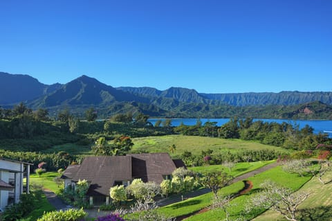 Wake up to sweeping views of Hanalei Bay and the vibrant tropical landscape.