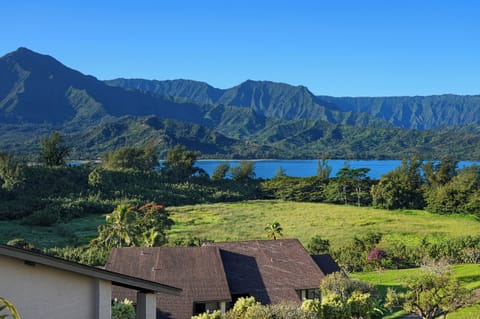 hanalei_bay_resort_4301_bdrm1_3